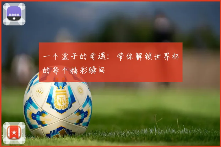 一个盒子的奇遇：带你解锁世界杯的每个精彩瞬间