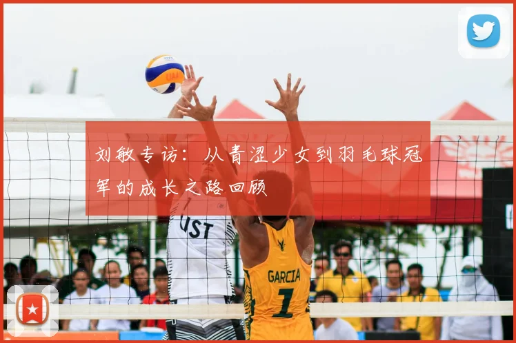 刘敏专访：从青涩少女到羽毛球冠军的成长之路回顾