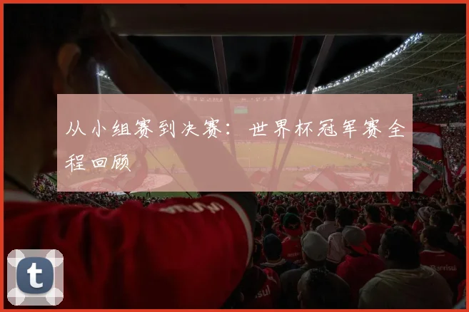 从小组赛到决赛:世界杯冠军赛全程回顾
