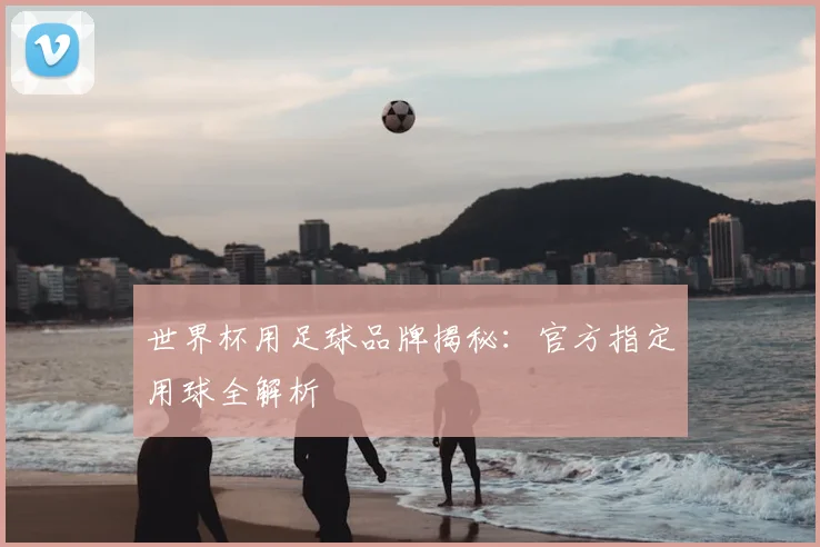 世界杯用足球品牌揭秘：官方指定用球全解析