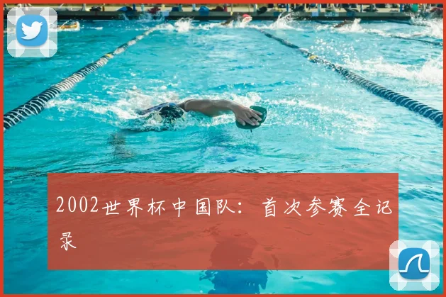 2002世界杯中国队：首次参赛全记录