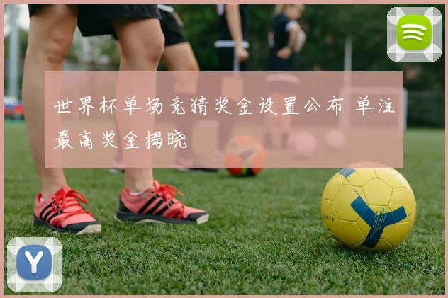 世界杯单场竞猜奖金设置公布 单注最高奖金揭晓