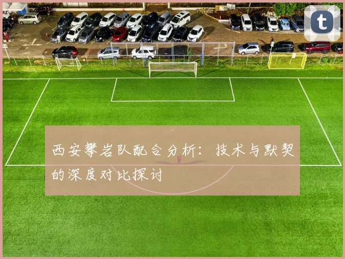 西安攀岩队配合分析：技术与默契的深度对比探讨