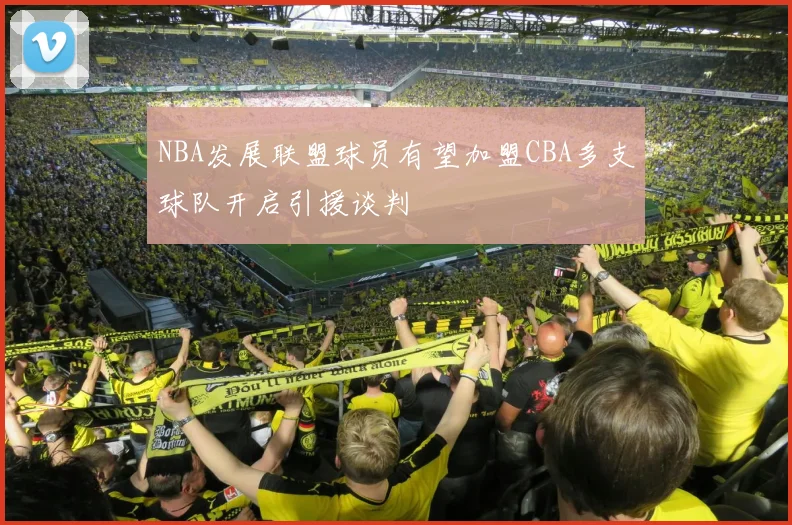 NBA发展联盟球员有望加盟CBA多支球队开启引援谈判