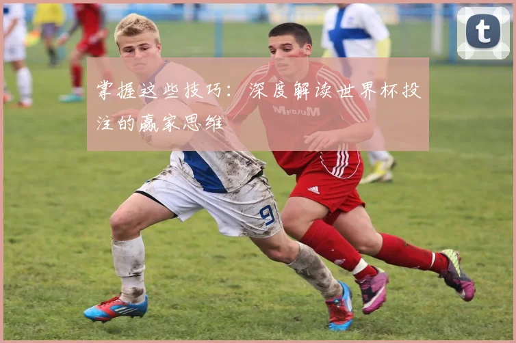 掌握这些技巧：深度解读世界杯投注的赢家思维